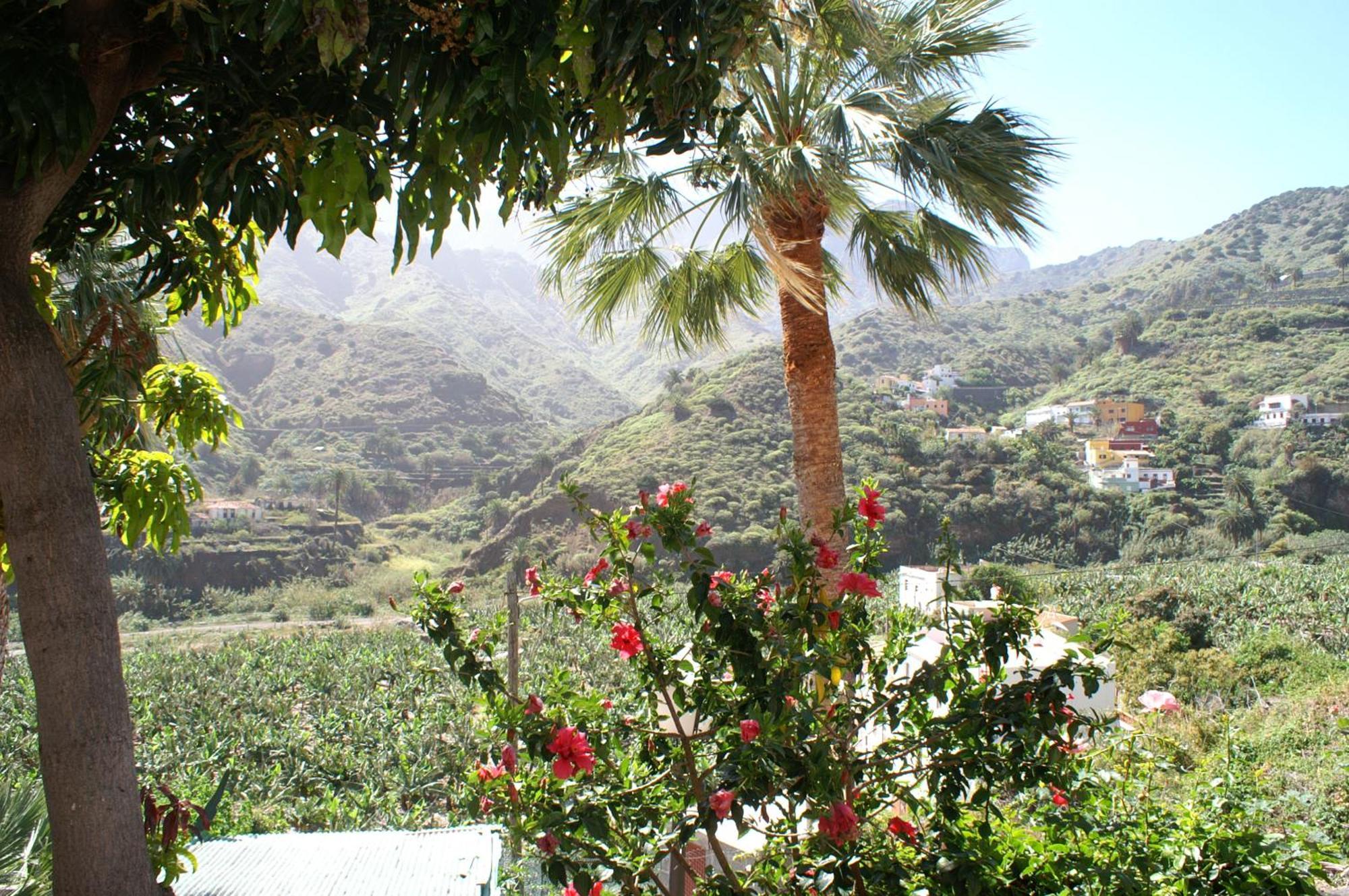 Casa Creativa Guest House Hermigua Ruang foto