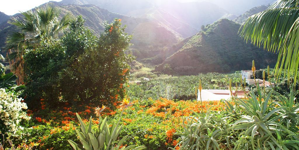 Casa Creativa Guest House Hermigua Bagian luar foto