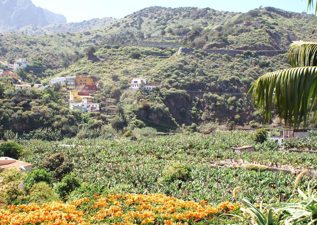 Casa Creativa Guest House Hermigua Bagian luar foto